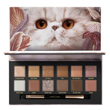 Explorer Eyeshadow